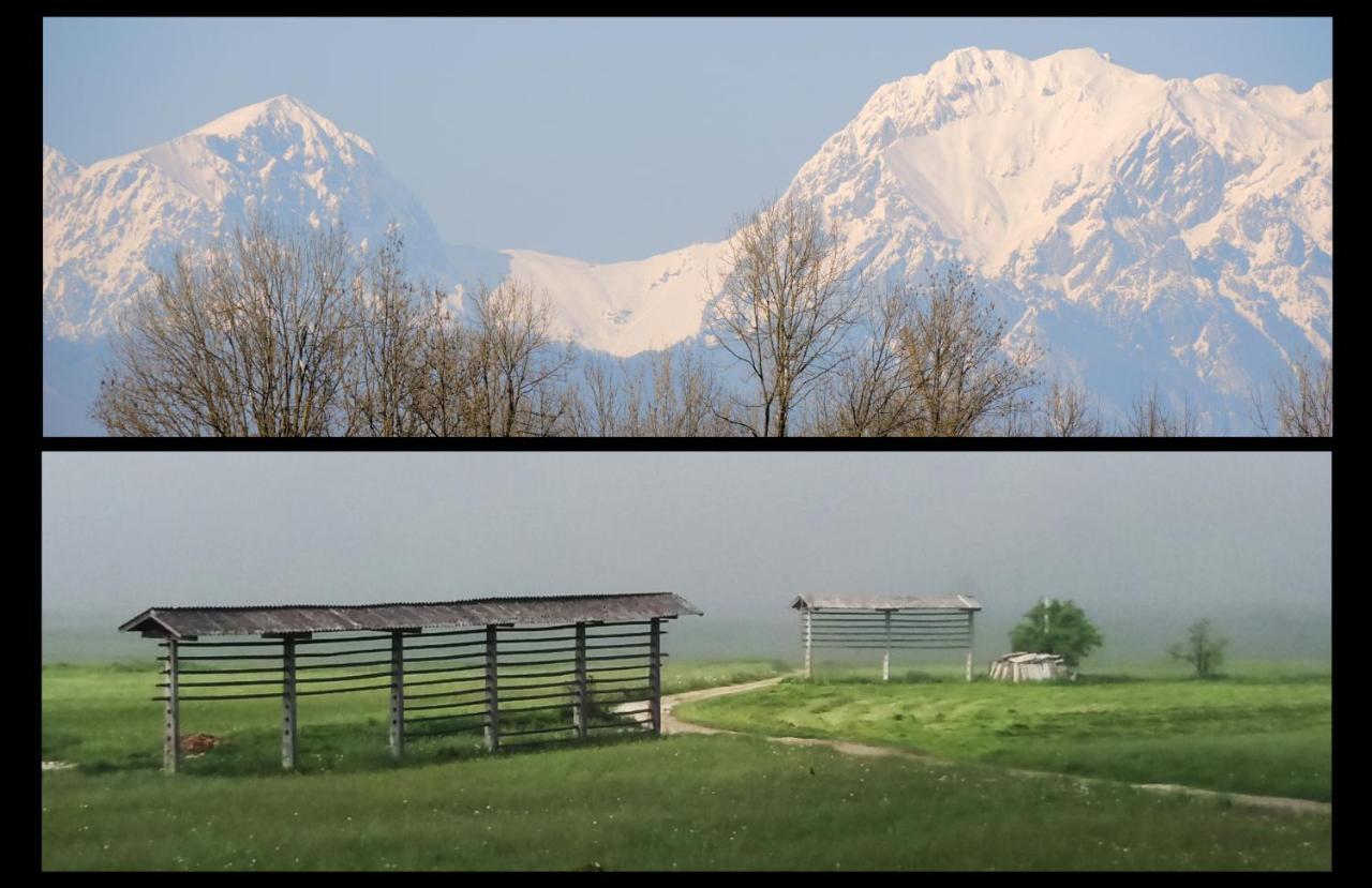 Mamut Stay Kamnik Exterior photo